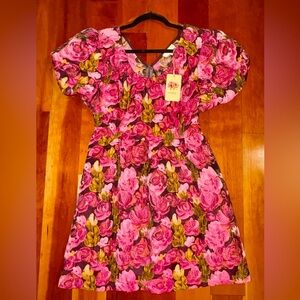 NWT Entro Pink Floral Cupcake Style Short Dress With Puffy Sleeve & Pockets